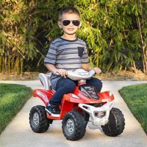 Power Wheels Quad - Lil Quad - Quad 12Volt Reviews By Expert