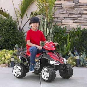 Power Wheels Quad - Lil Quad - Quad 12Volt Reviews By Expert